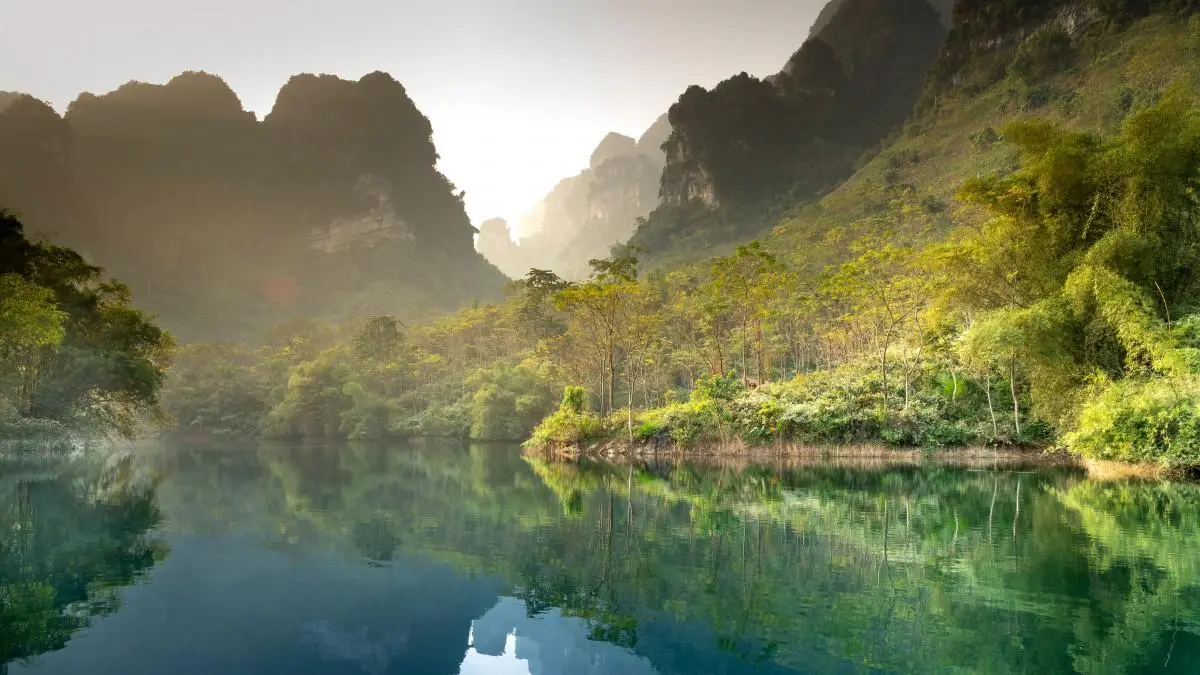 高效节能高效